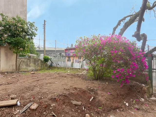 Imagem 4: TERRENO - Porto Alegre