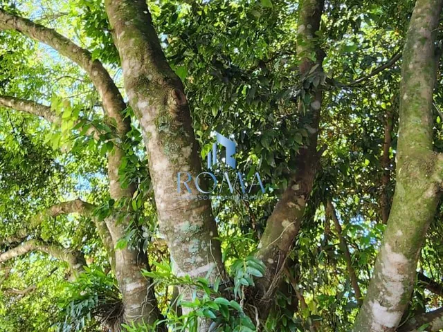 Imagem 7: Sítio 3 dormitórios à venda Pains Santa Maria/RS