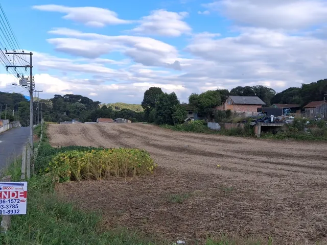 Imagem: AREA - CAMPO LARGO