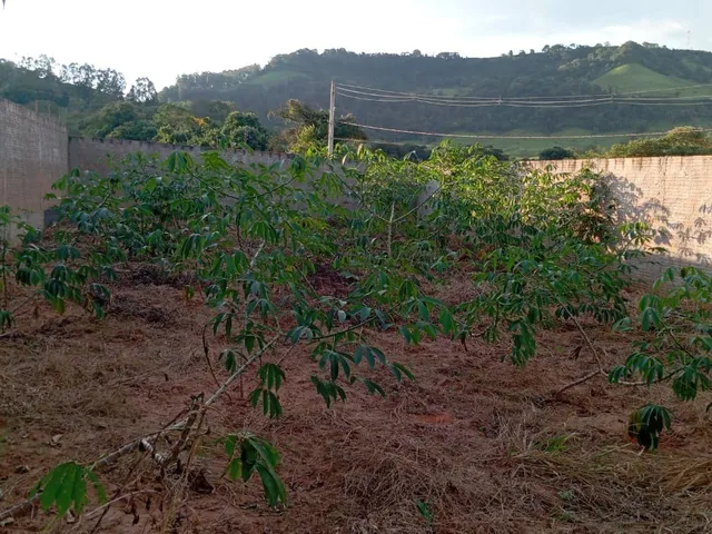 Imagem 4: EXCELENTE OPORTUNIDADE TERRENO Á VENDA EM CAPETINGA/MG