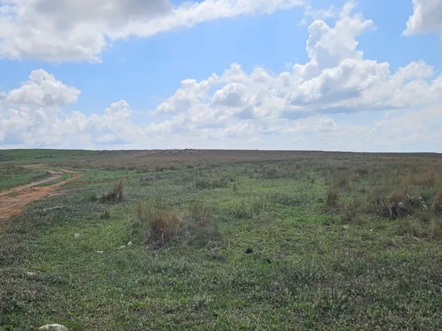 Imagem 2: FAZENDA À VENDA EM DELFINÓPOLIS - MG COM 430 ALQUEIRES
