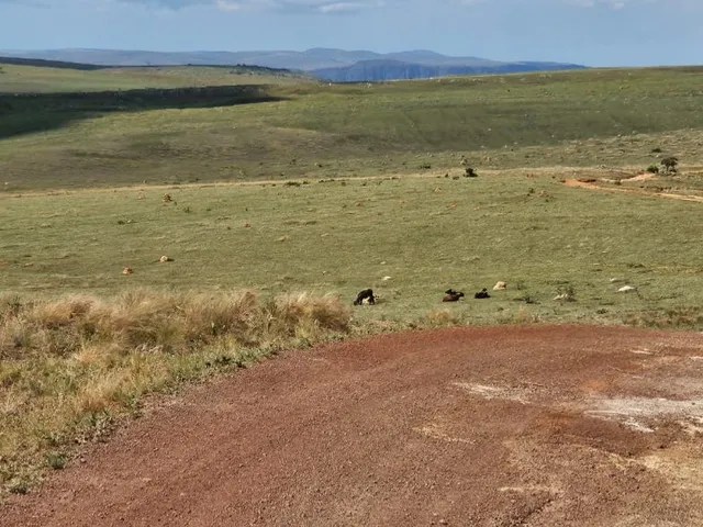 Imagem 8: FAZENDA À VENDA EM DELFINÓPOLIS - MG COM 430 ALQUEIRES