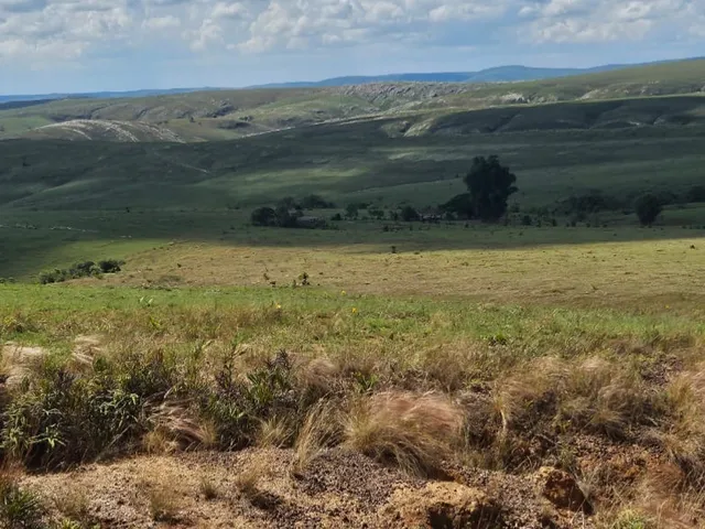 Imagem 3: FAZENDA À VENDA EM DELFINÓPOLIS - MG COM 430 ALQUEIRES