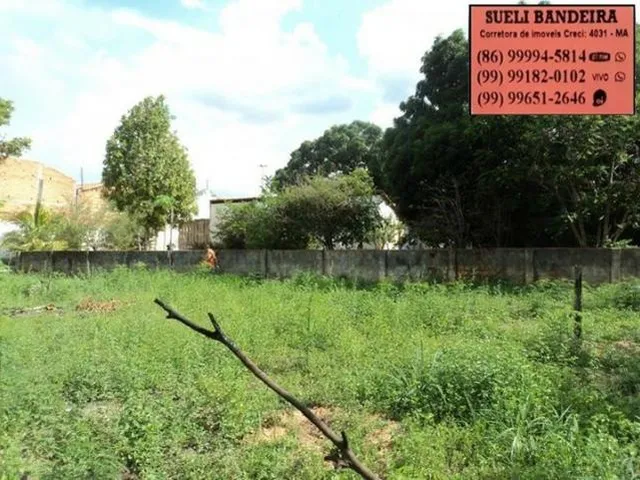 Imagem 5: Terreno e Casa em Caxias-Ma