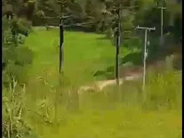 Imagem: Vendo Sítio na Cidade de Marmeleiro