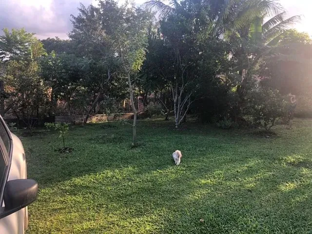 Imagem 4: Sítio em Lauro de Freitas