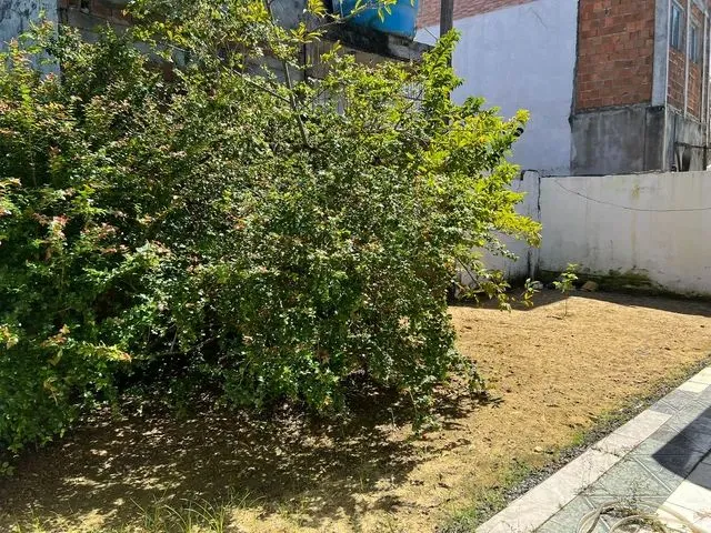 Imagem 10: Vendo Casa: 3 Qtos Um Sendo Suíte. (Aceito Proposta)