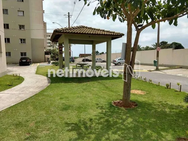 Imagem 11: Locação Apartamento 2 Quartos Ourimar Serra