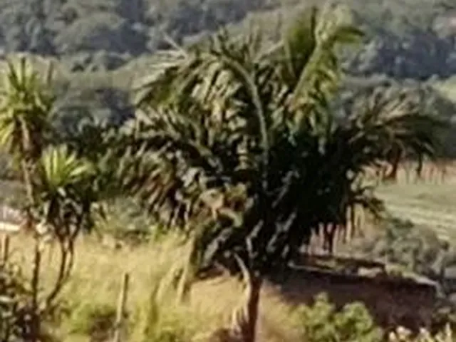 Imagem 2: Chácara em Ibiúna