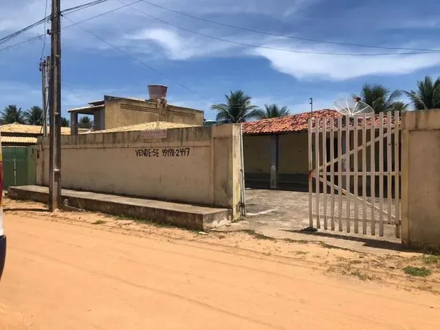 Imagem: Miai de Baixo, Coruripe, Al