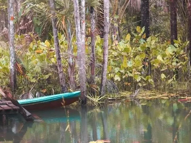 Imagem: Oportunidade Única! Terreno com Casa de