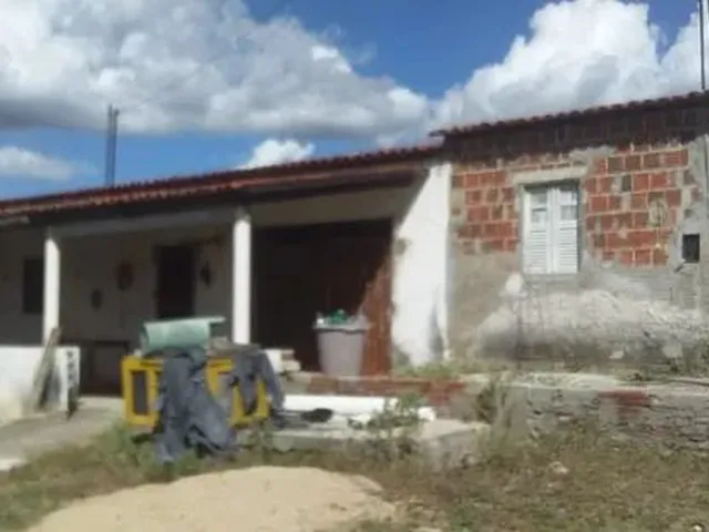 Imagem 3: .