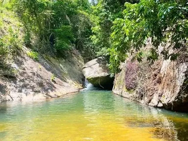 Imagem: Chácara À Venda com 9.104 M² na Rota