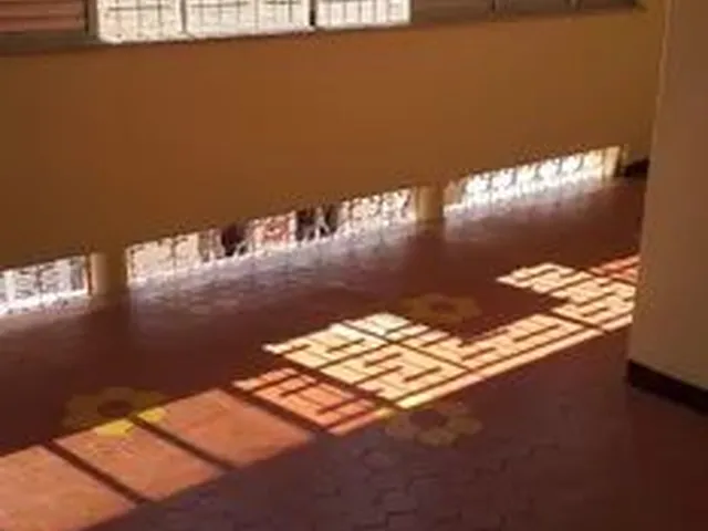 Imagem: Apartamento pra Alugar