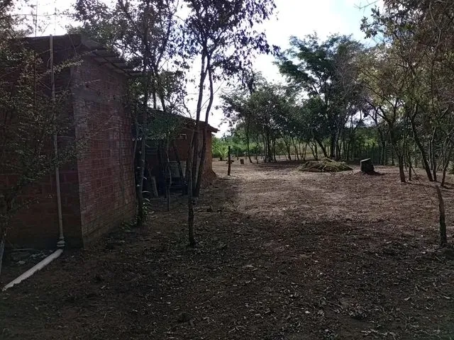Imagem: Casa na Zona Rural de Altos- Pi