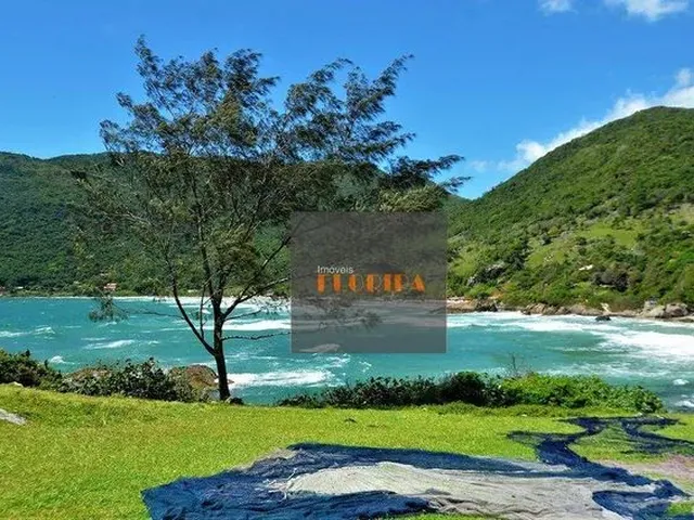 Imagem 3: Casa Térrea a 200 Metros da Praia da Armação e do Matadeiro
