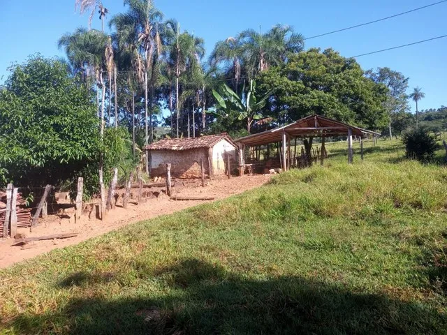 Imagem 13: Chácara de 7 Alqueres no Mun da Vila Própricio