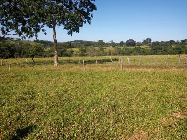 Imagem 10: Chácara de 7 Alqueres no Mun da Vila Própricio