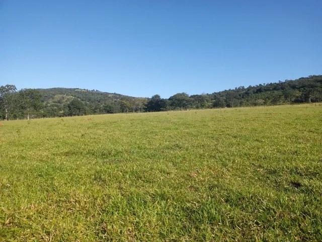 Imagem 7: Chácara de 7 Alqueres no Mun da Vila Própricio
