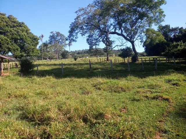 Imagem 14: Chácara de 7 Alqueres no Mun da Vila Própricio