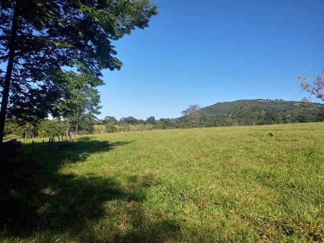 Imagem 16: Chácara de 7 Alqueres no Mun da Vila Própricio