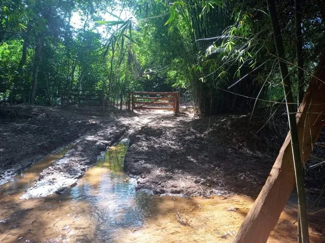 Imagem 5: Chácara de 7 Alqueres no Mun da Vila Própricio