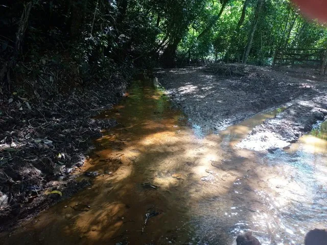 Imagem 15: Chácara de 7 Alqueres no Mun da Vila Própricio