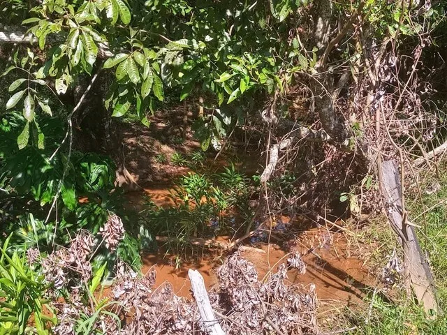Imagem 12: Chácara de 7 Alqueres no Mun da Vila Própricio