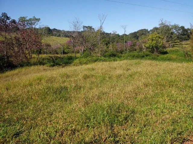 Imagem 2: Chácara de 7 Alqueres no Mun da Vila Própricio