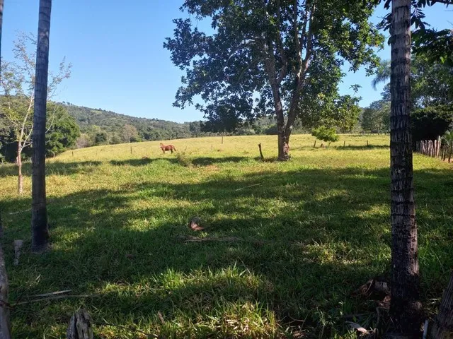 Imagem 11: Chácara de 7 Alqueres no Mun da Vila Própricio