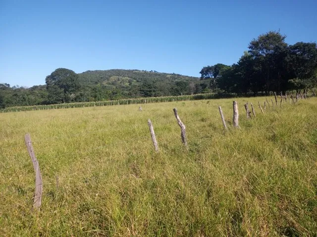 Imagem 8: Chácara de 7 Alqueres no Mun da Vila Própricio