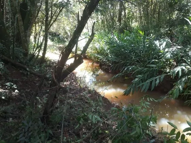 Imagem 4: Vendo Chácara em Crucilandia Povoado Cachoeira