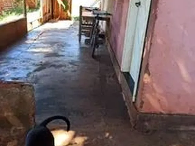 Imagem 1: Casa a Venda em Cruzeiro do Oeste