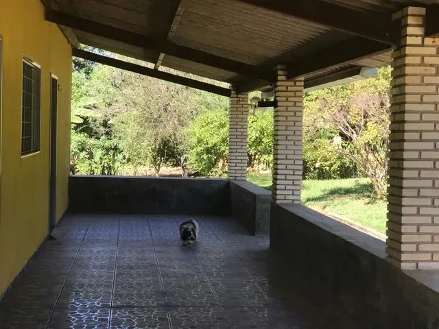 Imagem 10: Casa em Chácara - Aluguel