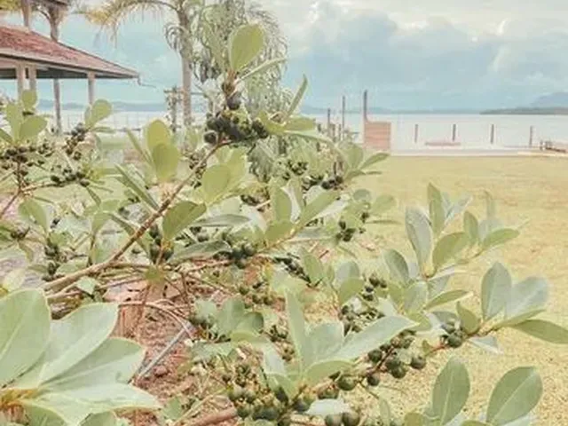 Imagem 13: Casa Frente Mar Vila da Glória
