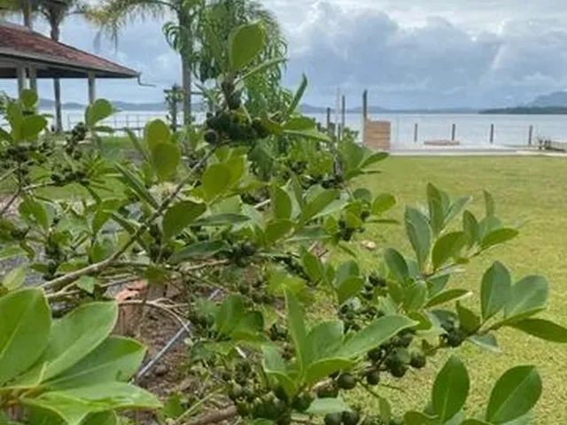 Imagem 12: Casa Frente Mar Vila da Glória