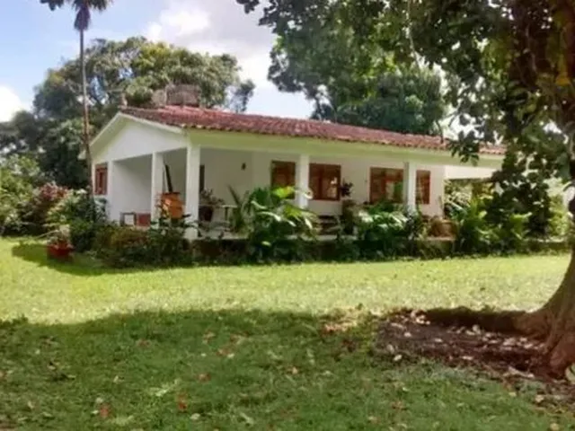 Imagem: Casa para Aluguel Ou Venda com 250 M2 e