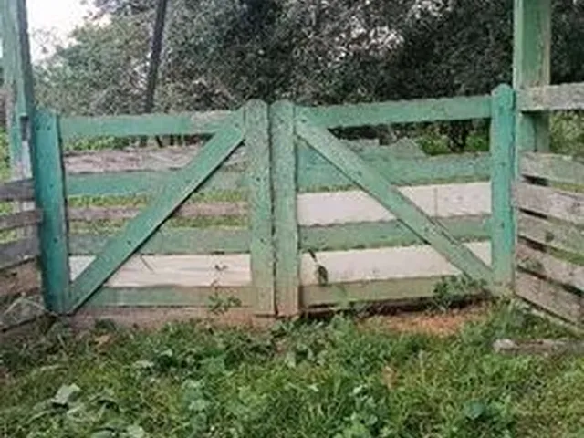 Imagem: Colônia