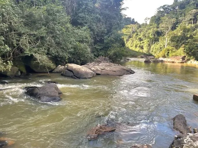 Imagem: Sítio com Cachoeira Propia,Base da Casa