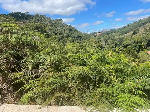 Imagem 6: Sítio com Cachoeira Propia,Base da Casa Pronta Leia Troco Parcelo Garrafão