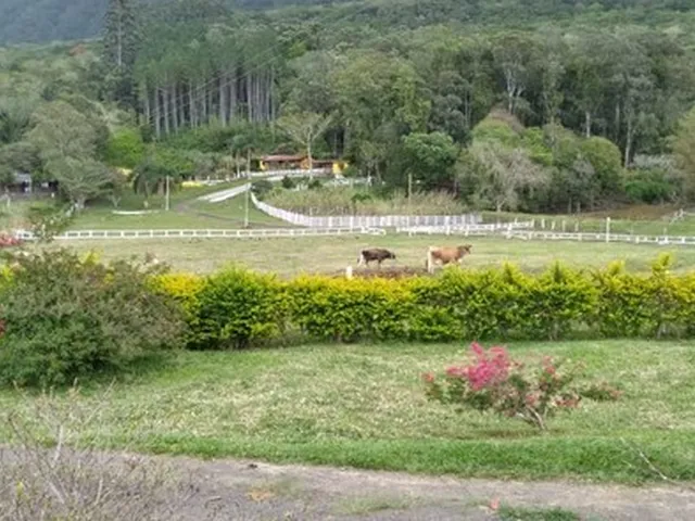 Imagem: Belo Sítio em Osório Rs