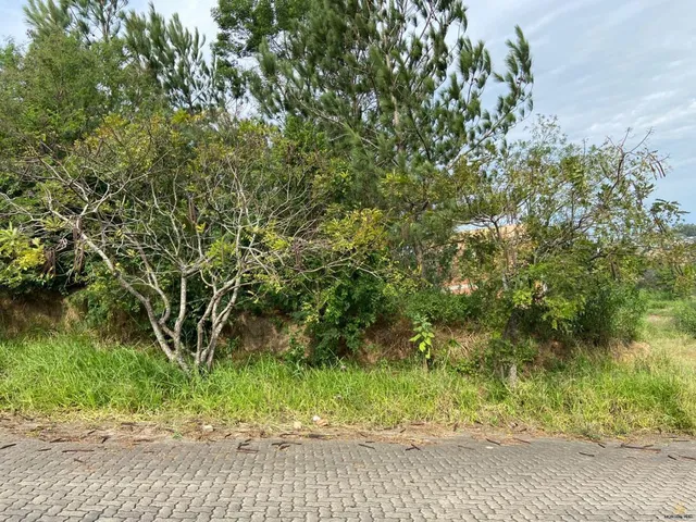 Imagem: Terreno com 3 Dormitorio(s) localizado(a)