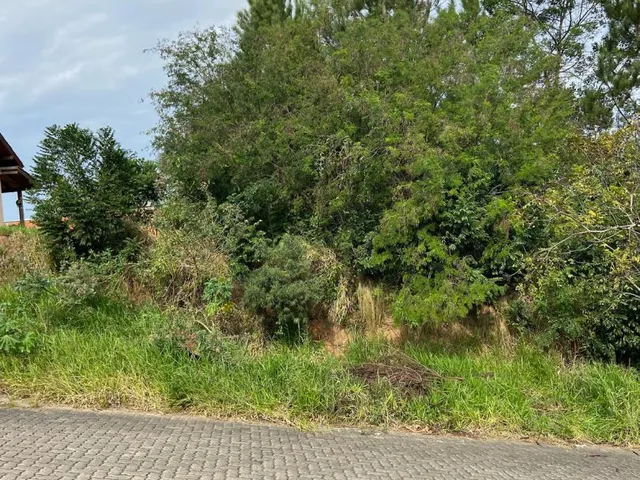 Imagem: Terreno com 3 Dormitorio(s) localizado(a)
