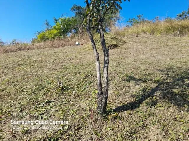 Imagem: O terreno está localizado em Tribobó, São Gonçalo à