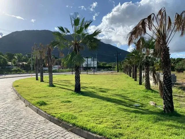 Imagem: Lotes no Porto da Serra, nas Margens da