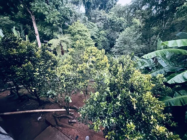 Imagem 2: Chácara à venda em Piraquara, Vila Santa Helena 3, com 2 quartos, 1920m²