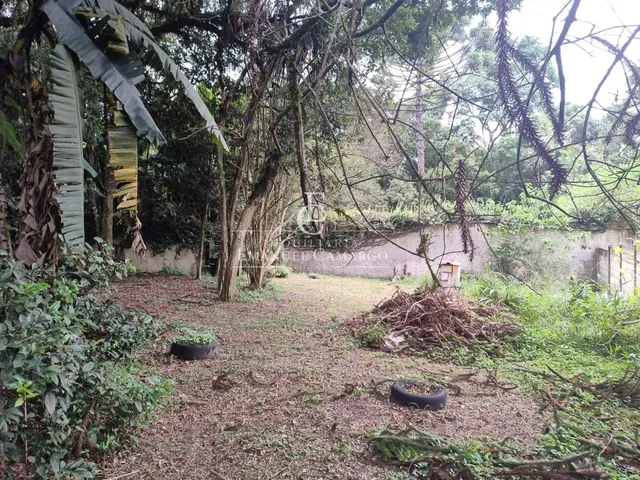 Imagem 2: Terreno à venda em Quatro Barras, 1086m²