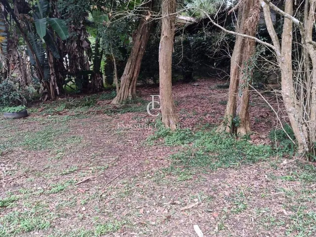 Imagem 10: Terreno à venda em Quatro Barras, 1086m²