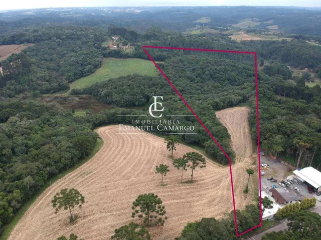 Imagem: Chácara à venda em Quatro Barras, Palmitalzinho
