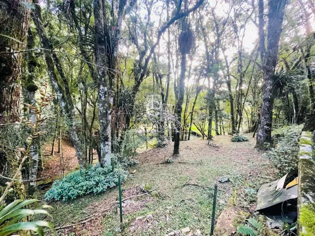 Imagem 3: Chácara à venda em Piraquara, Vila Franca, com 3 quartos, 5500m²